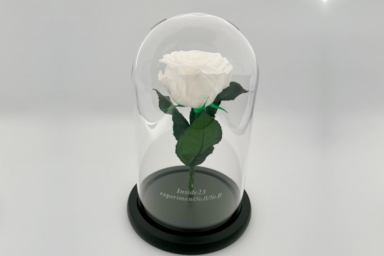 推しの花